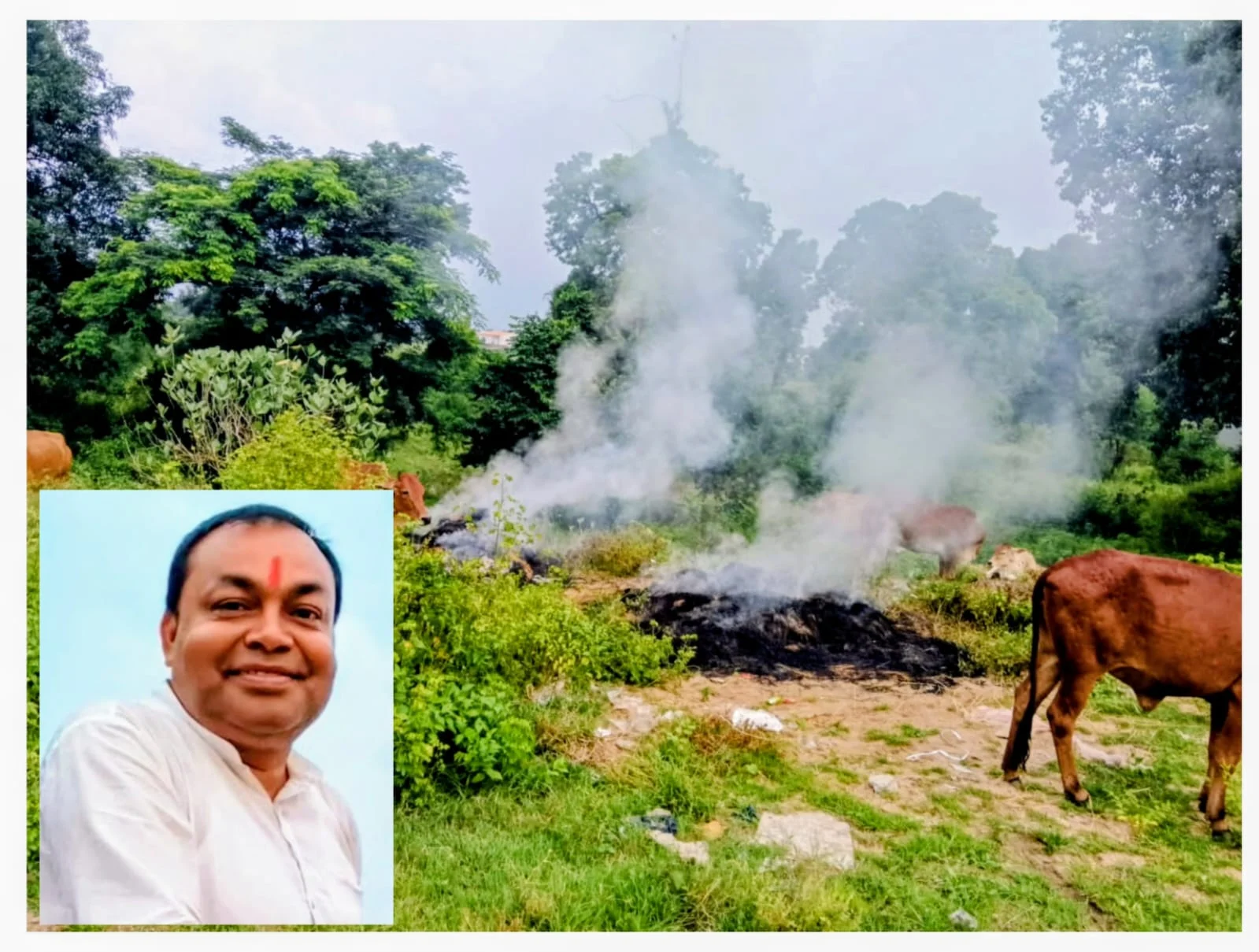 टैक्स वसूली पूरी, सफाई व्यवस्था अधूरी; कूड़े के ढेर में आग से गौवंश की जान पर बनी