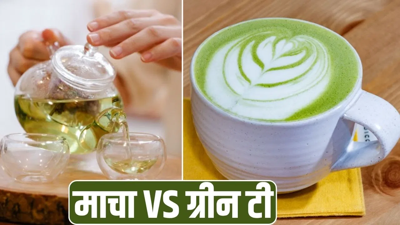 Green Tea : एक ही पौधे से बनती है माचा और ग्रीन टी, जान लें दोनों में क्या है अंतर?