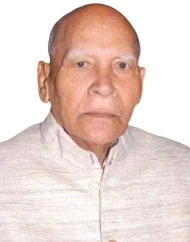 हरितालिका गणेश चतुर्थी  – डॉ. पालेश्वर प्रसाद शर्मा