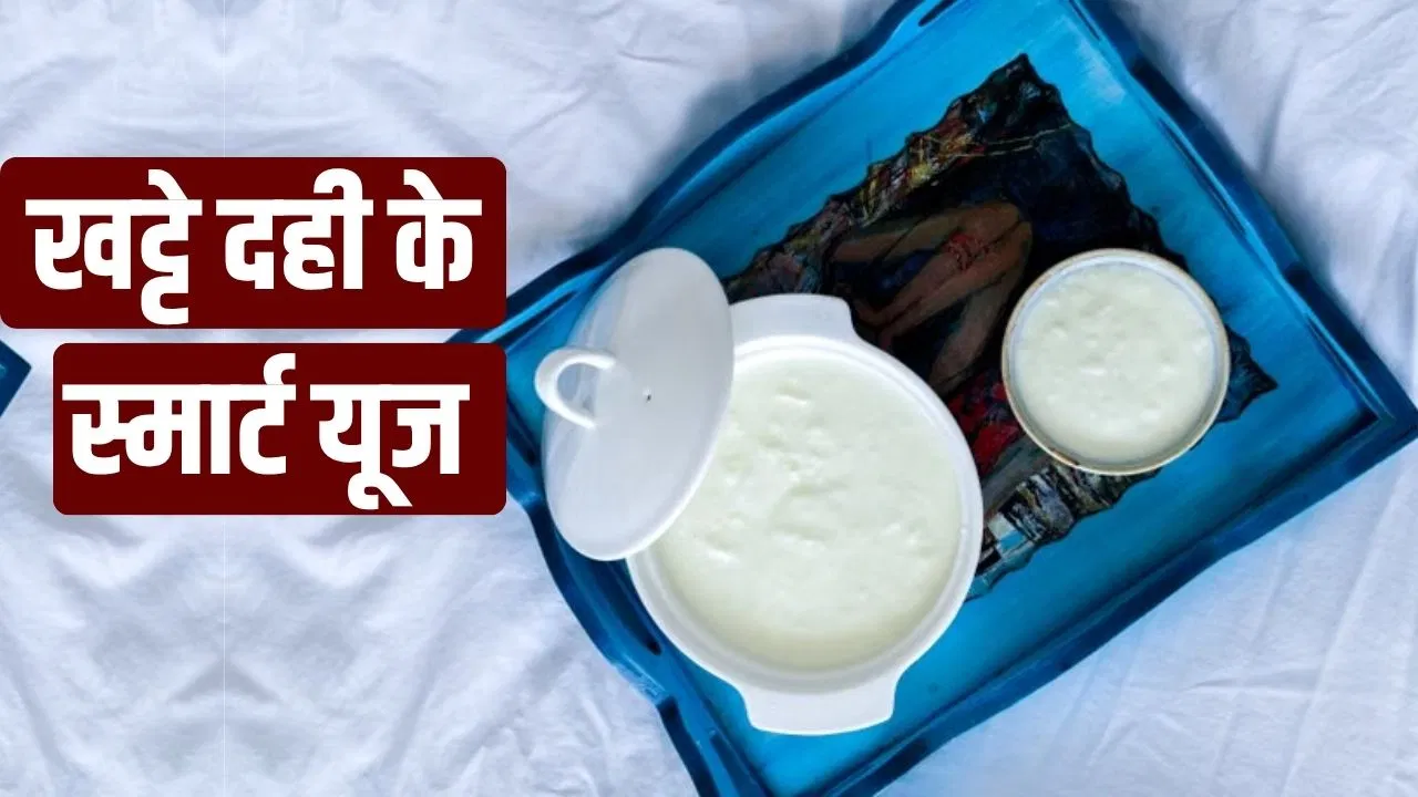 दही हो गया है खट्टा…फेंके नहीं, पेड़ पौधों में करें यूज,जाने कैसे करे अलग-अलग तरीकों से इस्तेमाल