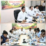 धान का रकबा घटेगा, सरसों और स्ट्रॉबेरी बढ़ेगी? कृषि विभाग ने बनाया नया रोडमैप