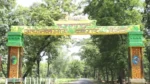 Achanakmar Jungle Safari -अचानकमार टाइगर रिजर्व में 1 नवंबर से जंगल सफारी, मां महामाया मंदिर से जुड़ेगा नया पर्यटन सर्किट