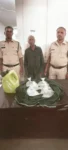 जेवरा में महुआ शराब का खेल बेनकाब…भारी मात्रा मे कच्ची शराब बरामद…56 वर्षीय आरोपी गिरफ्तार
